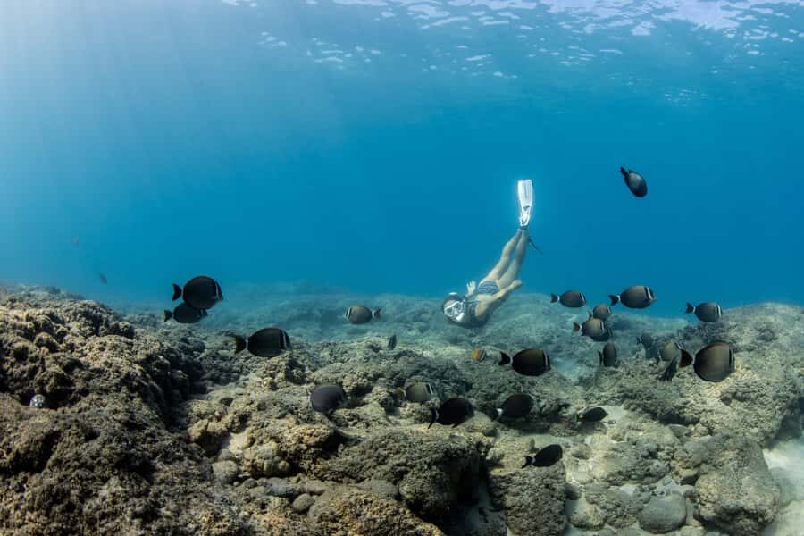 Fujairah: Snorkeling Trip with Equipment - Key things I’d circle before you go