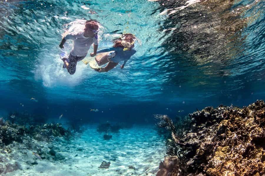 Fujairah: Snorkeling Trip with Equipment - Who this Fujairah snorkeling trip is perfect for