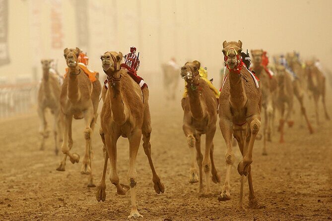 Full Day Al Ain tour with Lunch from Dubai - Leaving Dubai for Al Ain: the 9-hour rhythm
