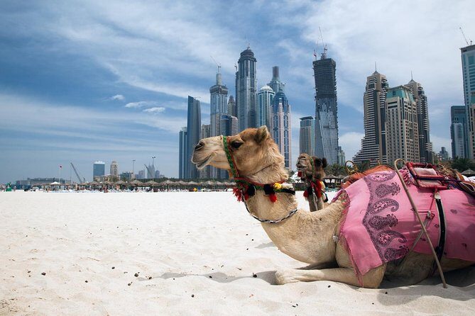 Full Day Dubai Tour with Lunch and Entry to Burj Khalifa - Old Dubai First: Al Fahidi Historical Neighbourhood and Dubai Creek
