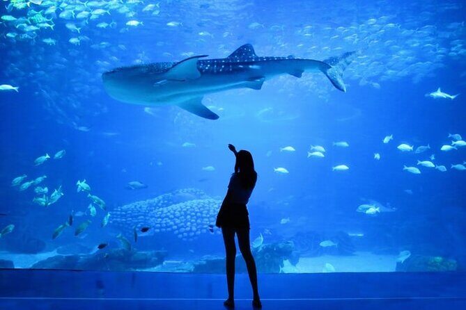 Full Day Explore Old Heritage & Modern Dubai City Tour - Palm Jumeirah Monorail and Atlantis Area: Views You Can Actually Get
