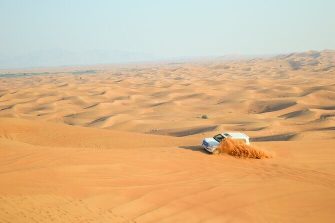 Full-Day Guided Red Dunes Desert Tour in Dubai with Camel Ride - Key Highlights You’ll Feel Immediately