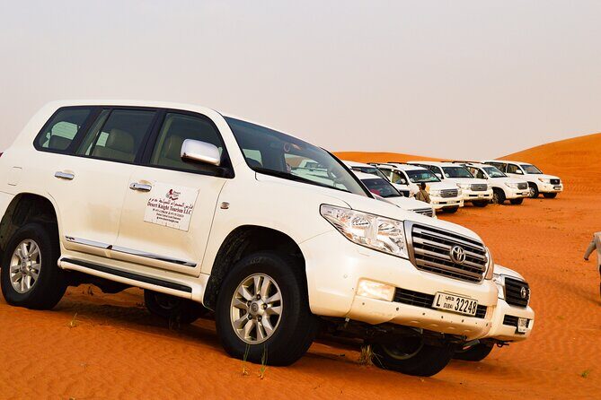 Full-Day Guided Red Dunes Desert Tour in Dubai with Camel Ride - Sandboarding: The Fun Part, Done the Sensible Way