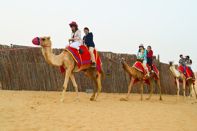 Full-Day Guided Red Dunes Desert Tour in Dubai with Camel Ride - Camp Setup: Majlis Seating and Unlimited Desert Snacks