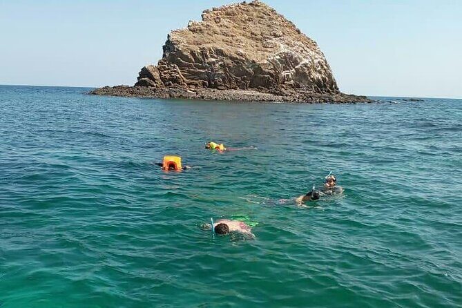 Full Day Musandam Cruise with Lunch and Snorkelling from Dubai - Price and Value: Is $85 Worth It?