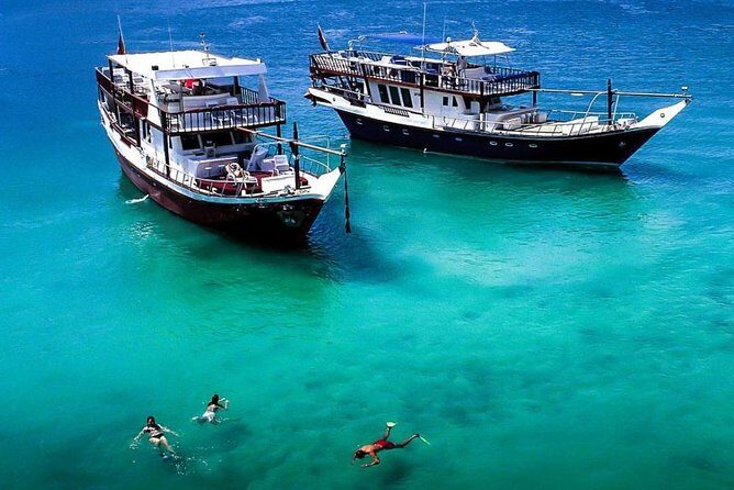 Full-Day Mussandam Cruise with Lunch Dibba - Key Things You’ll Notice on This Musandam Cruise