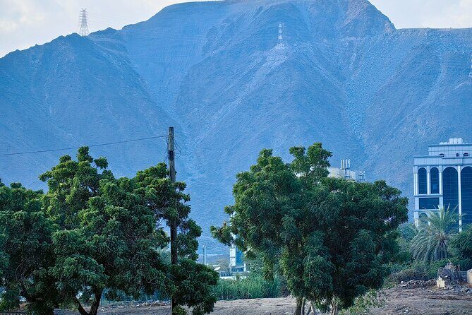 Full Day Private Tour in East Coast Khorfakkan - Khorfakkan Amphitheatre: architecture plus cultural energy