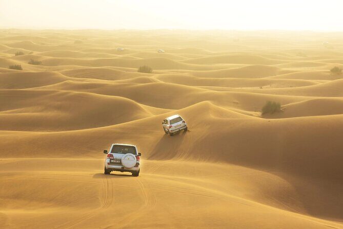 Full-Day Small-Group Red Desert Safari with BBQ Dinner in Dubai - Desert Camp Arrival: Tea, Camel Photos, and Real Break Time