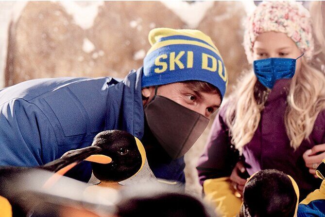 Full-day Snow Ski in Dubai - Who should book this Ski Dubai snow day