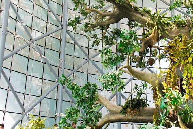 Green Planet Dubai Ticket - Key things to know before you go
