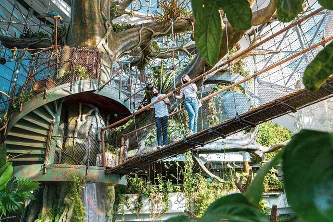 Green Planet Dubai Ticket - What you’ll see: animals and plants that make it feel like a rainforest