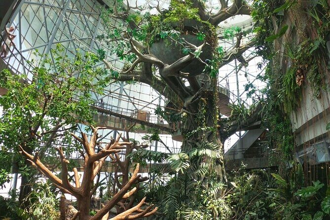 Green Planet Dubai Ticket - Best moments for animal lovers (and people who hate “boring exhibits”)