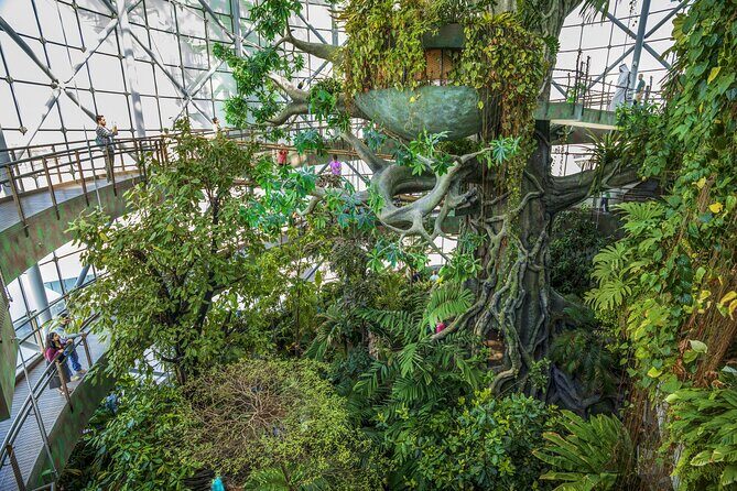 Green Planet Dubai Ticket - Price and value: what $72.42 really buys you