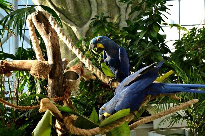 Green Planet Dubai Ticket - Planning your 8-hour visit inside the biodome