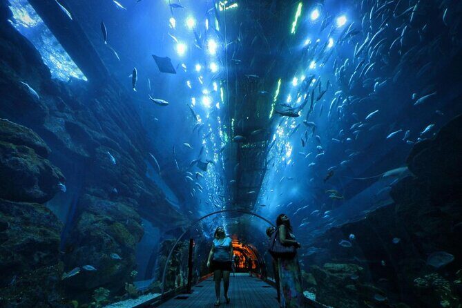 Half Day Dubai City Tour & visit to Dubai Aquarium Underwater Zoo - Key things to know before you go