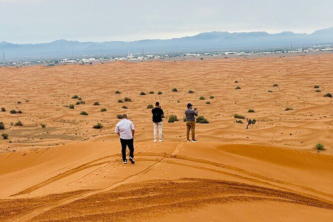 Half-Day Morning Desert Safari in Dubai - Sandboarding slide from high dunes: the best add-on for momentum