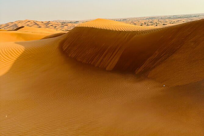 Half-Day Morning Desert Safari in Dubai - The ATV quad bike mention: confirm what you’ll get