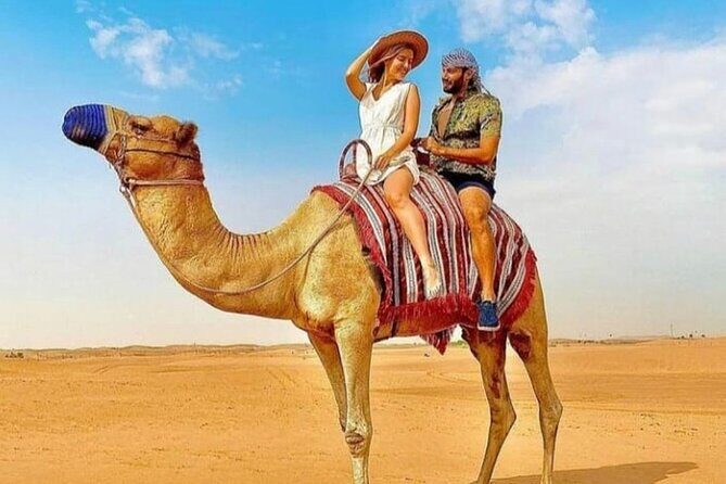 Half-Day Private Morning Desert Safari by 4x4 Car - Key Highlights You’ll Feel Right Away