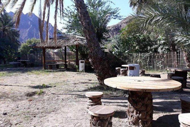Hatta Mountain Adventure (Hiking & Biking) - Price and value: what $440 buys you in real time