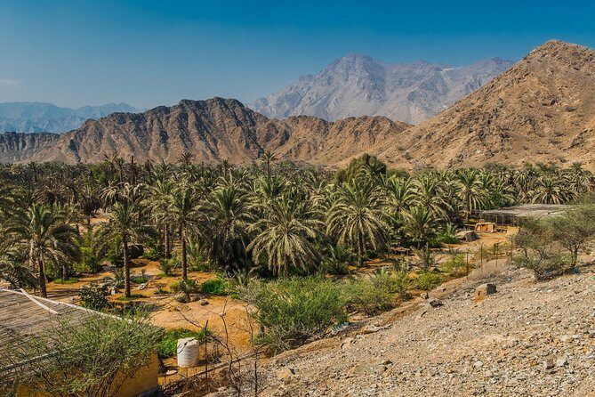 Hatta Mountain Adventure Tour - Price and value: what $125 buys you (and how to stretch it)