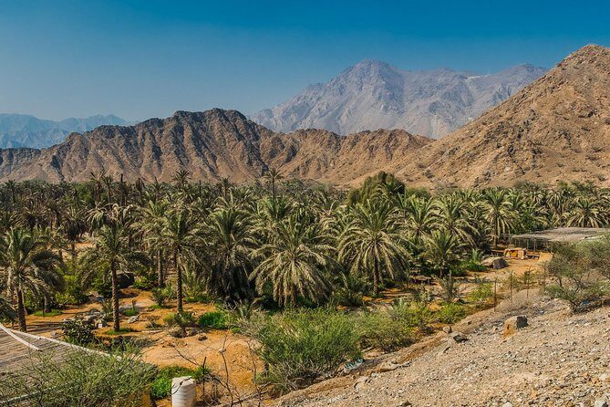 Hatta Mountain Tour - Who should book this private Hatta tour with Desert Explorers Tourism