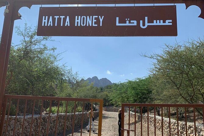 Hatta Mountain Tour Discoverd Hidden Dubai Gems - Hatta Hill Park: a climb for views over the Hajar Mountains