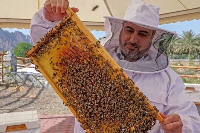 Hatta Mountain Tour, Hatta Dam, Heritage Village, Honeybee Garden - Wadi Hatta Park: where the adventure options live