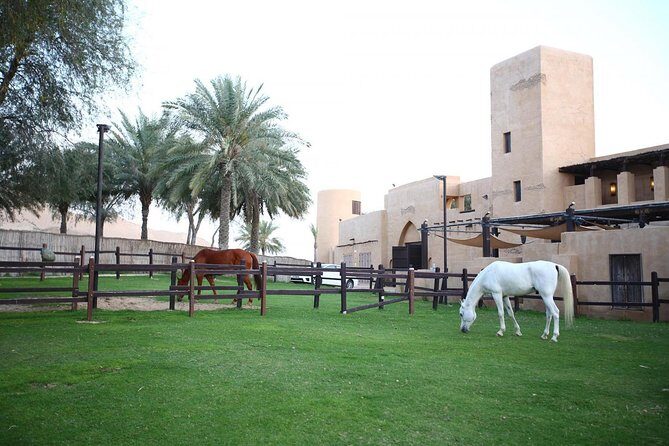 Horseback Riding in Dubai Desert with Transfers - Key Things to Know Before You Go
