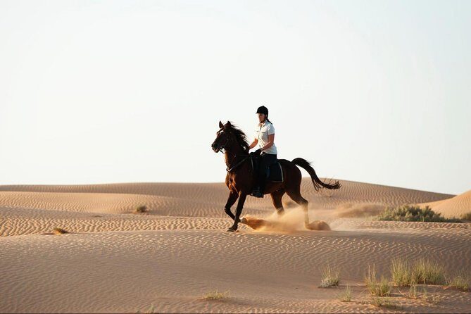 Horseback Riding in Dubai Desert with Transfers - The Desert Horse Ride Setup: What You’re Actually Paying For