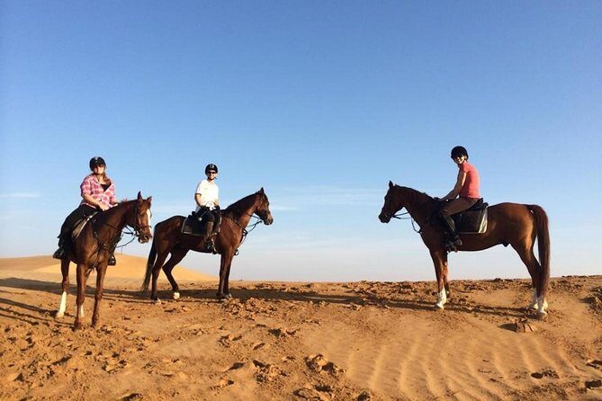Horseback Riding in Dubai Desert with Transfers - Stable Time Matters: Horse Matching and a Real Safety Briefing