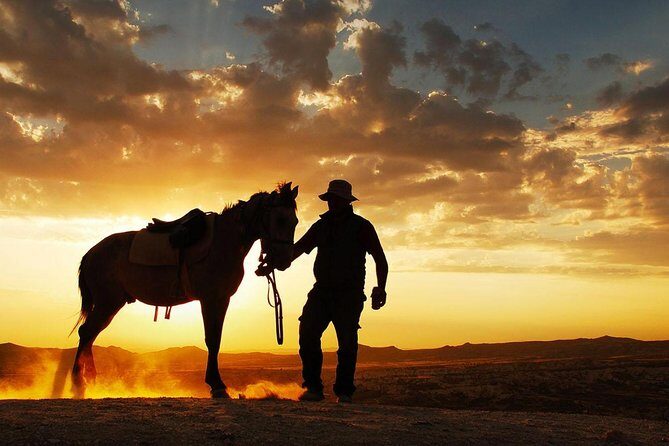 Horseback Riding in Dubai Desert with Transfers - The 90 KG Weight Limit: The Most Important Line in the Fine Print