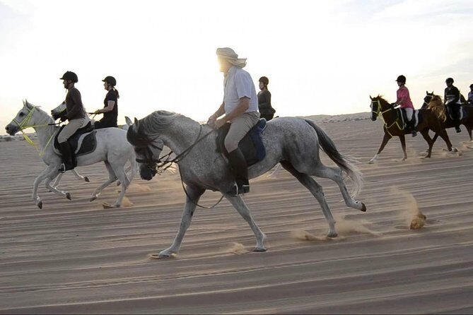 Horseback Riding in Dubai Desert with Transfers - Booking Choice That Changes the Whole Mood: Morning vs Late Afternoon