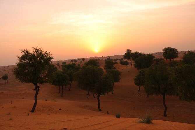 Hot Air Balloon Adventure Ride in Dubai with Hotel Pick up & drop - Sunrise Flights From Dubai: Why the 4:00 am Start Feels Worth It