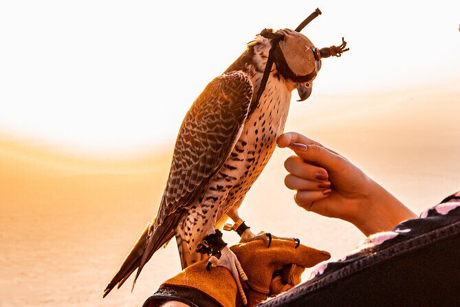 Hot Air Balloon Ride & In-flight Falcon Show including Transfers - The landing moment: smoother than you think, then food