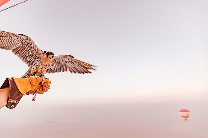 Hot Air Balloon Ride & In-flight Falcon Show including Transfers - Who this is best for (and who should choose something else)
