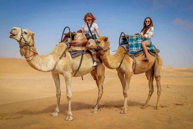 Hummer Desert Safari Experience with BBQ Dinner in Dubai - Henna, sheesha corner, and the dance-and-fire lineup