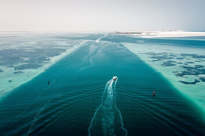 Island Hopping Sharing-4 hours trip - Why this 4-hour island hop fits Abu Dhabi perfectly