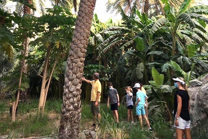 Journey to the Heart of the Emirates - Showkah wadi: falaj irrigation, picnic lunch, and ruins