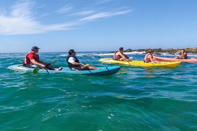Kayak In Dubai Jumeirah Beach - With Free Transfer - Who this kayak tour is best for (and who should skip it)
