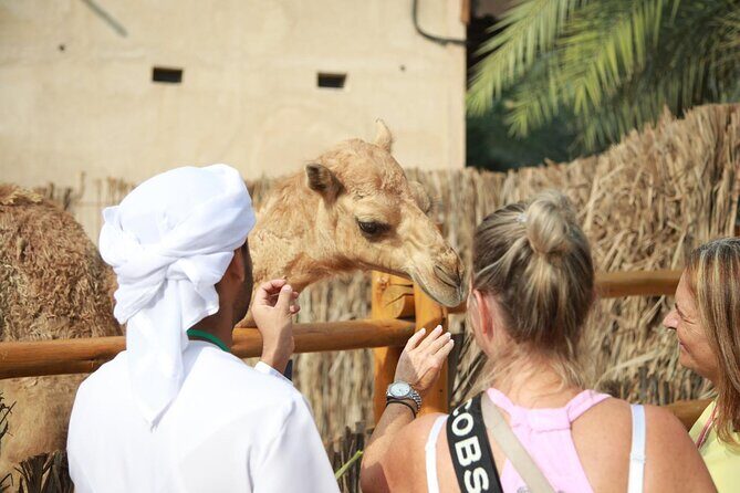 Layover & Stopover Tours in Dubai - Downtown Dubai: Dubai Mall, the Fountain, and Burj Khalifa