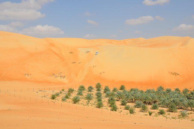 Liwa Full Day Desert Safari (exploring) - Key things you’ll notice on the Liwa safari