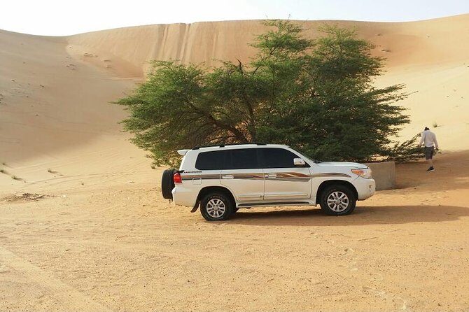 Liwa Full Day Desert Safari from Abu Dhabi - Key things to know before you book