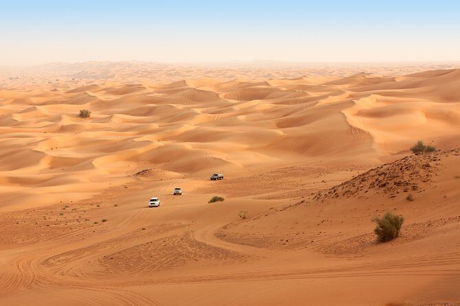 Liwa Full Day Desert Safari from Abu Dhabi - Why Liwa feels different from a typical Abu Dhabi desert day