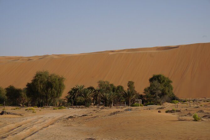 Liwa Full Day Desert Safari from Abu Dhabi - Camel farm visit and Liwa Fort: what these stops add to your day