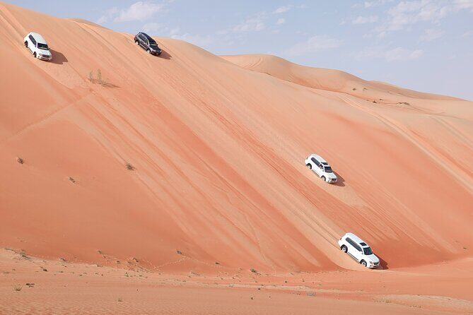 Liwa Oasis Desert Drive from Abu Dhabi - Key Highlights to Know Before You Go