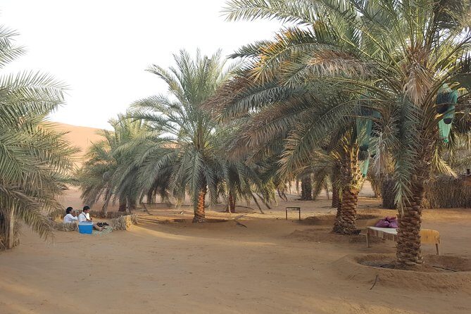Liwa Oasis Desert Drive from Abu Dhabi - Off-Road Time: Why the Drive Feels Like the Attraction