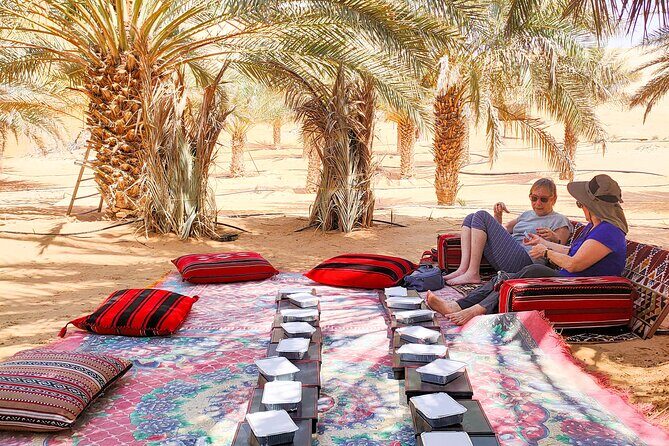 Liwa Oasis Desert Drive from Abu Dhabi - The 8:30 AM Hotel Pickup and the Comfort of an AC 4x4