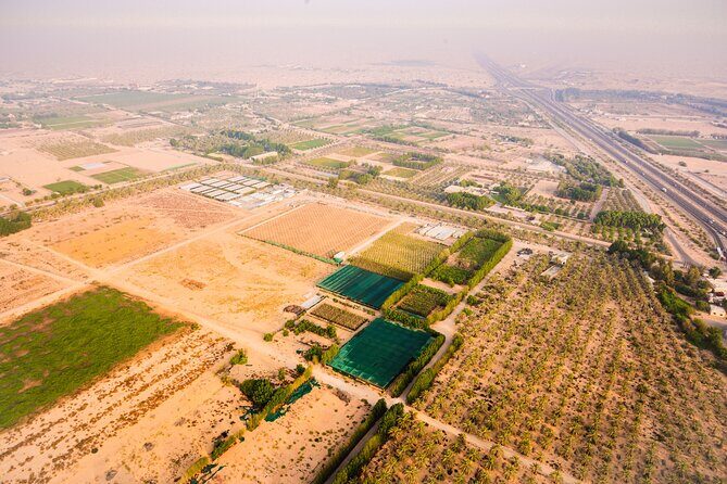 Magical Hot Air Balloon In Dubai - Sunrise Ballooning in Dubai: What Makes It Feel Worth It