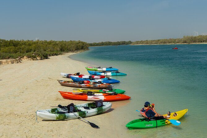 Mangrove Kayaking Abu Dhabi - Price and value: Is $102.74 worth 1.5 hours of kayaking?