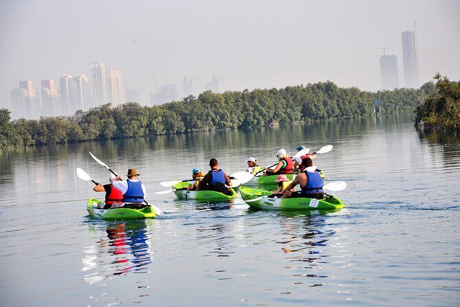 Mangrove Kayaking Abu Dhabi - Kayaking through the mangrove canals: wildlife spotting that actually happens